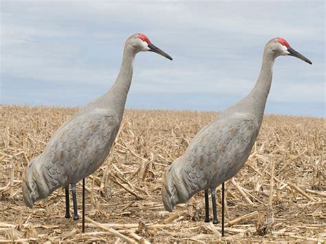 full body crane decoys